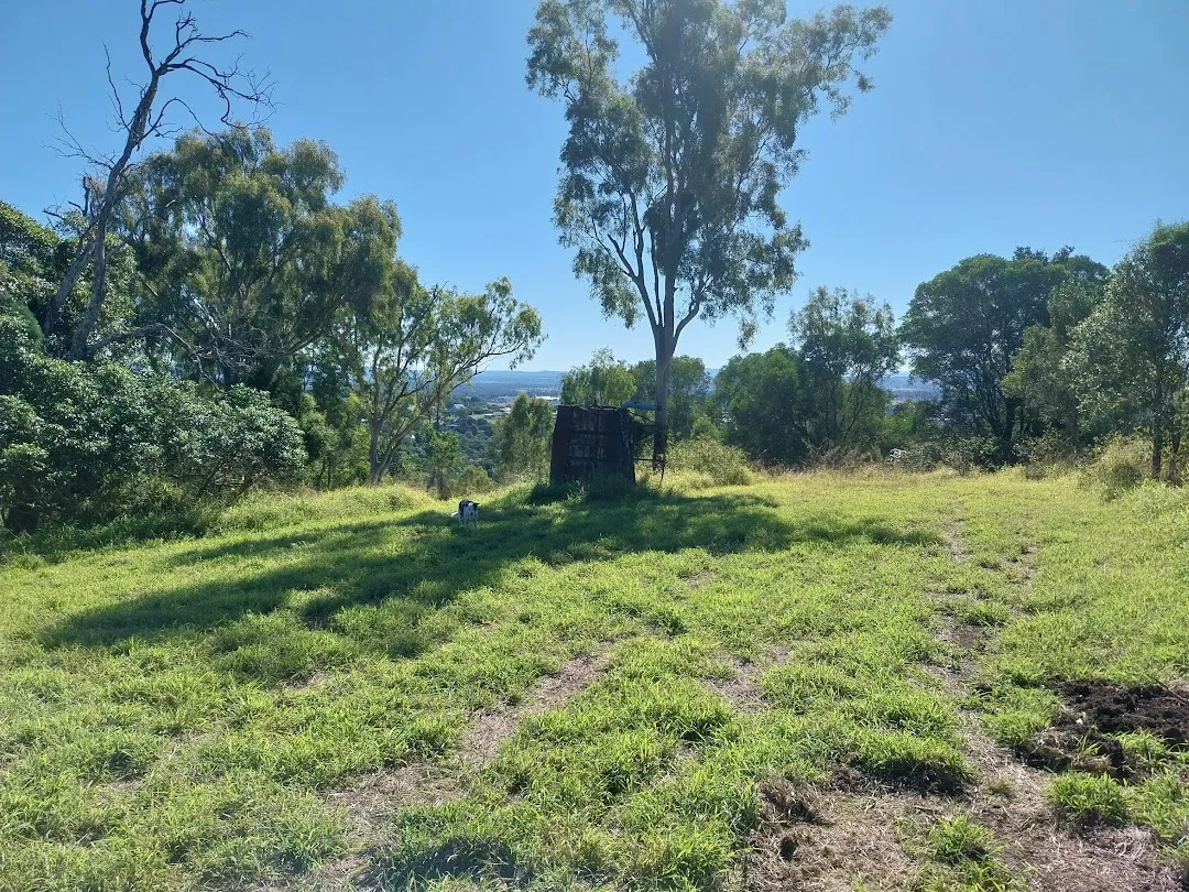 Trees and a grassy hillside overlooking the countryside at our property in Lowood, Queensland