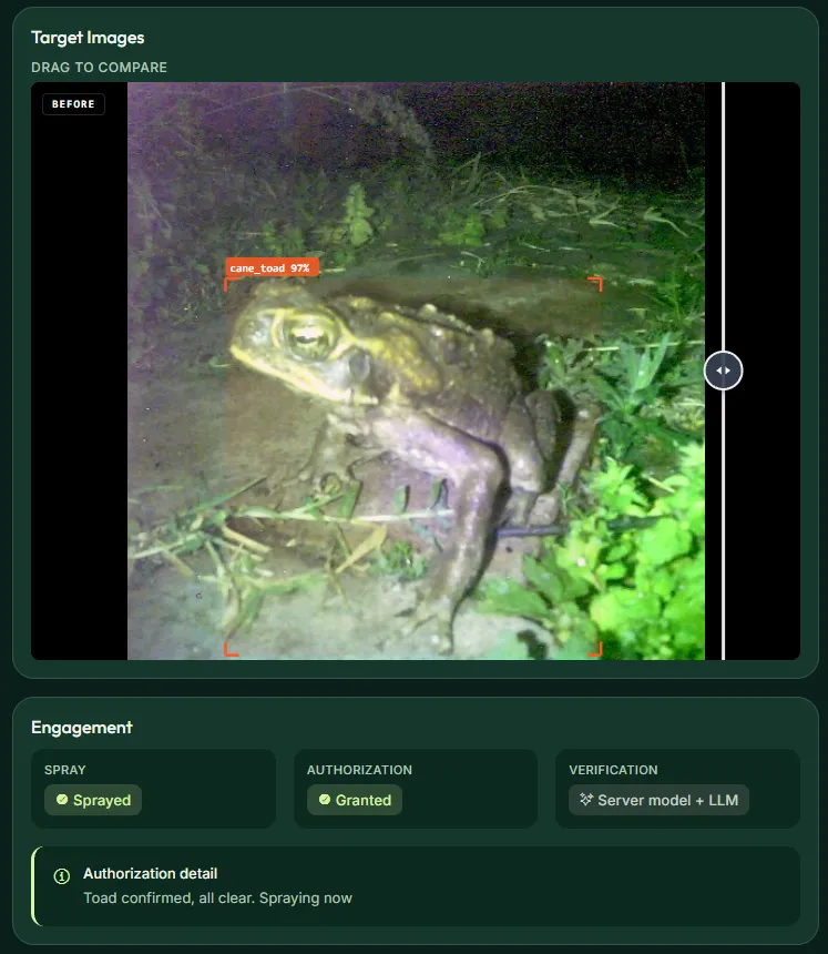ToadOps sighting showing a cane toad detected with 97% confidence, spray confirmation, and verification details