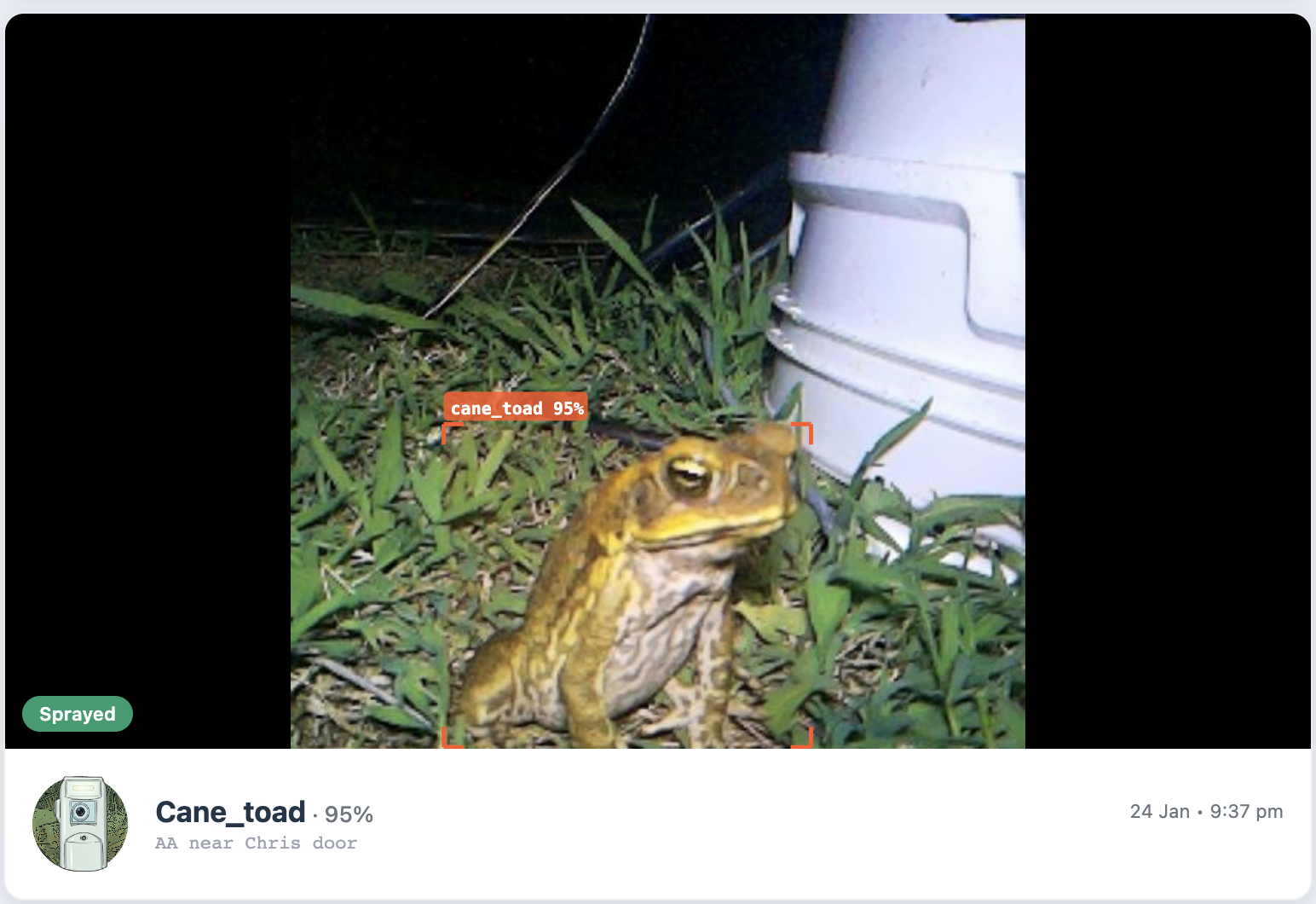 A cane toad detected with 95% confidence, shown with a bounding box overlay and Sprayed status in the ToadOps app